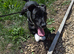 Urgent Loving Home Needed For Beautiful Boy