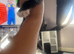 Kittens needing new homes