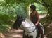 12.2HH 4YO MARE