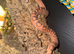 Female adult scaleless corn snake