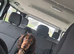 Male Choc and Tan Sprocker