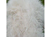 Curly coat floodle