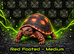 Tortoise Babies