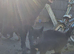 German shepherd Mix female pup