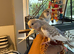 2 budgies for sale with cage
