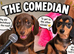 Pra clear mini smooth dachshund pups
