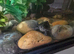 3 musk terrapins