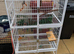 Bird cage (without tray) and pets cage