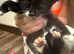 4 beautiful kittens 3 girls & 1 boy