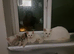 White kittens for sale