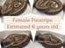 A selection of available rescue snakes