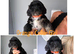 Stunning F1 cockapoo puppies READY NOW