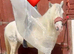 Super safe family friend / show pony