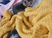2 beautiful female kittens
