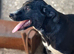 MAYA – The Little Heart Waiting to Feel Safe