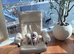 Thoroughbred male Maltese puppy for sale