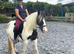 13.3/14 cob mare 14 yrs old