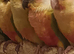 Conures for sale