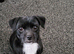 Rehome