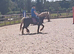 Beautiful Silver Dapple 6yo Mare