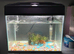 **Small Aquarium for Sale – Fully Equipped**
