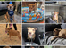 Male 4yrs old