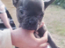 French bulldog puppies