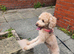 Tilly