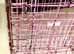 Pink dog crate.
