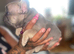 Beautiful female French bulldog puppies