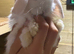 White mini lop blue eyes 8weeks