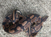 Multiple Royal Pythons For Sale