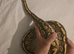 Lesser Fire Het Clown