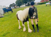 Bonnie - Seeking long term loan home