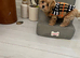 Asian teacup maltipoo