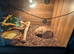Vivarium and ball python
