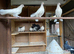 Fantails