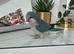 Loving home wanted for our Quaker Parrot Echo