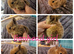 Lionhead babies ready to reserve