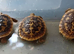 Pancake tortoise babies SOLD