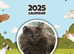 Maine coon kittens looking for their forever home two beautiful boys left full bread Maine coons