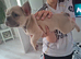 French bulldog pups