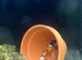 My salt water central marine system