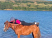 *** MOTHERS DREAM PONY ***
