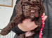 Gorgeous F1 Toy Cockapoo Puppies READY NOW