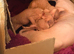 Last little male Canadian Sphynx kitten &pound;400