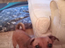Jack Russell