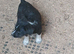 2 stunning boys Lakeland pups looking for their forever home