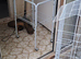 Bird cage and stand
