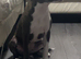 Staffordshire bull terrier female